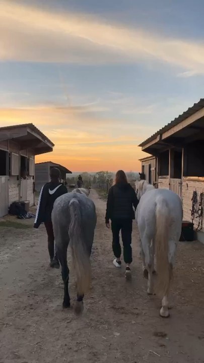 Nothing better than life in the stable 🐴