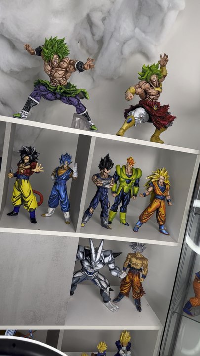 Petit aperçu de ma collection 🏻
