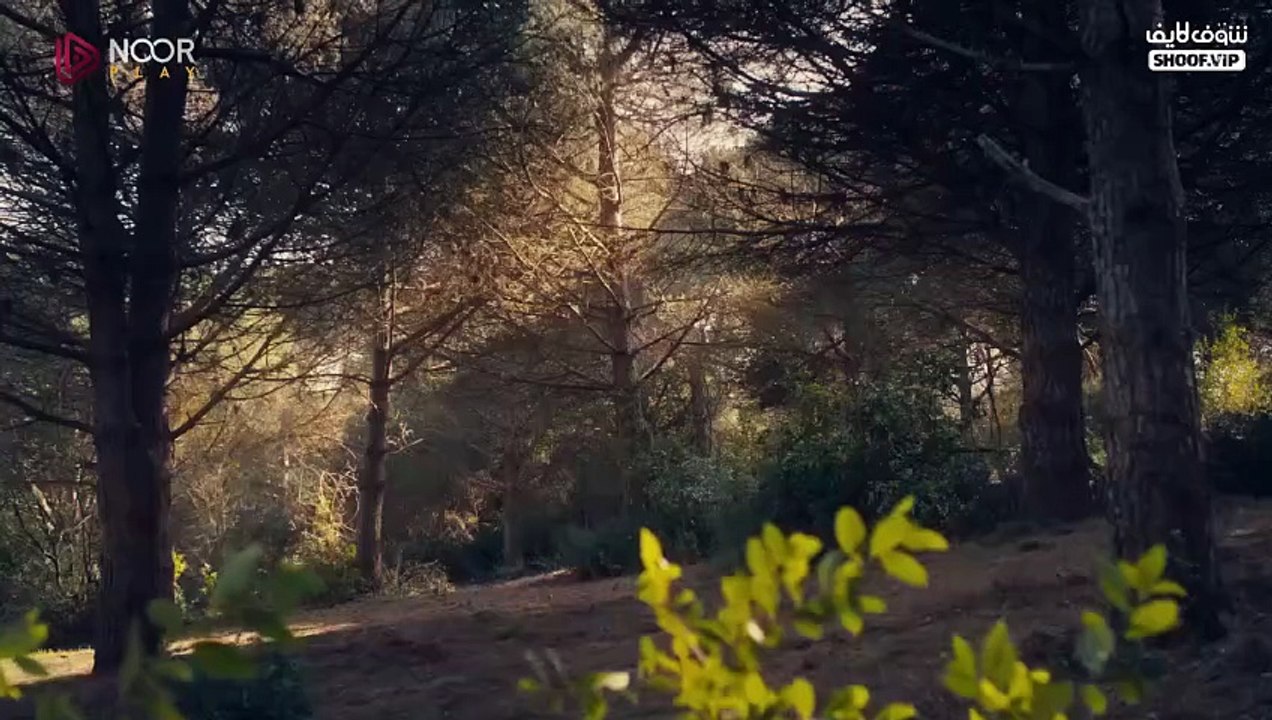 مسلسل المؤسس اورهان الحلقة 17 مترجمة Serieshub