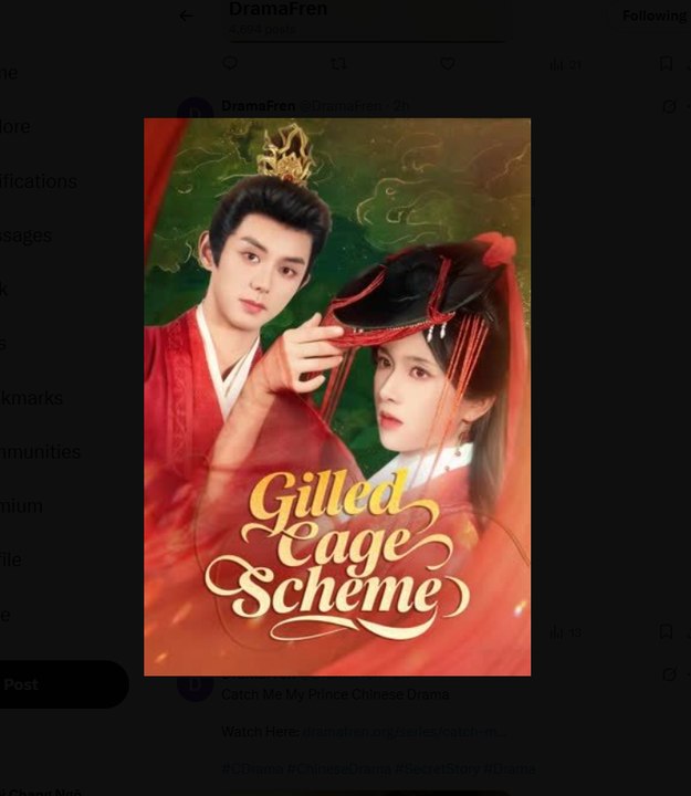Gilded Cage Scheme Chinese Drama - English Sub