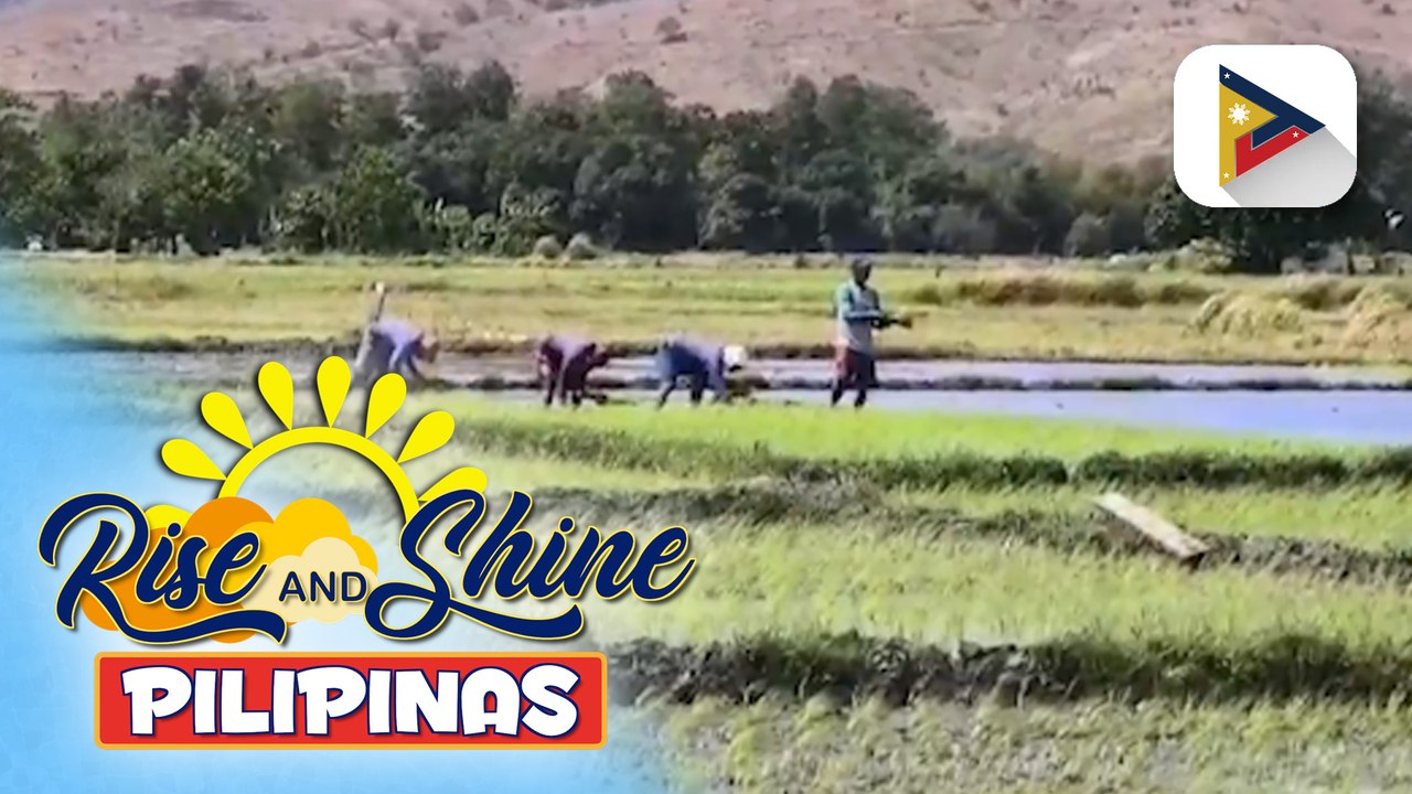 Ilang magsasaka sa Pangasinan, ikinatuwa ang nakatakdang pamamahagi ng fuel subsidy ng pamahalaan | ulat ni Ricky Casipit ng Radyo Pilipinas - Dagupan