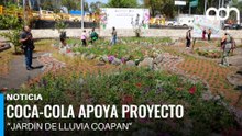 Coca-Cola impulsa proyecto que capta lluvia y reduce inundaciones en Coyoacán