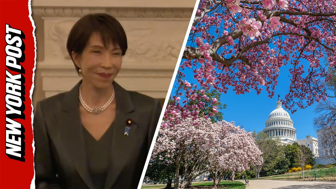 Japan gifts 250 cherry blossom trees to mark America's 250th anniversary