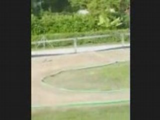 voiture thermique sur piste de course