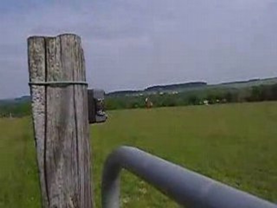 MOV00717