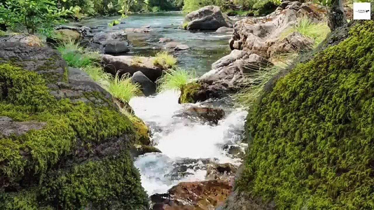 Isa vs Dajjal- The Final War - Documentary