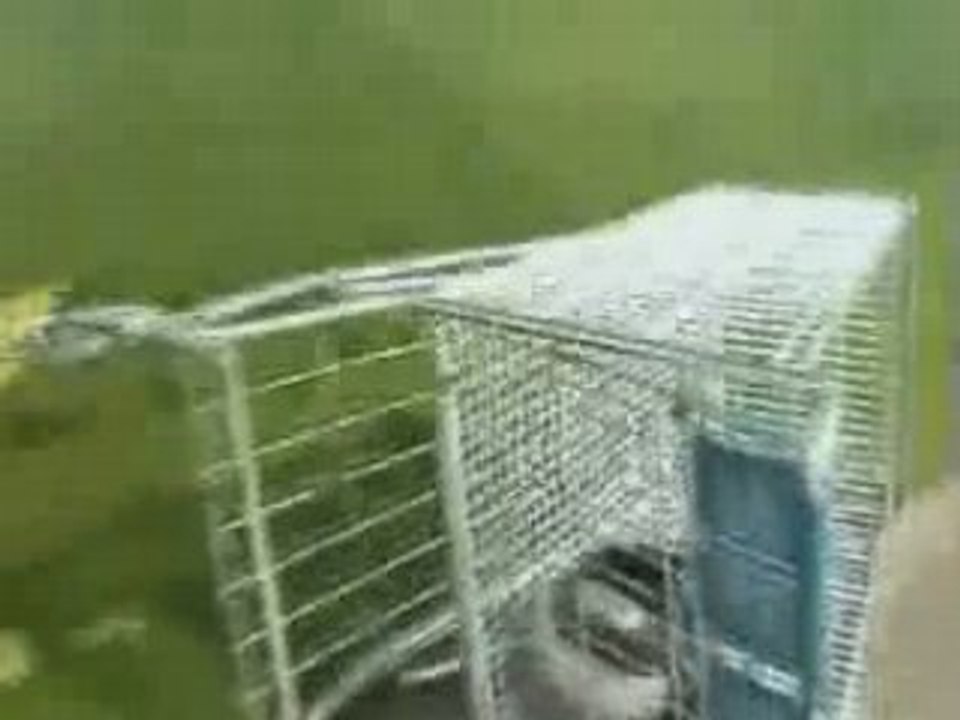 Connerie et sport extremes