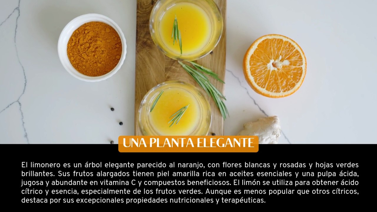 [#Podcast] Cómo curarse con los cítricos - How to heal with citrus