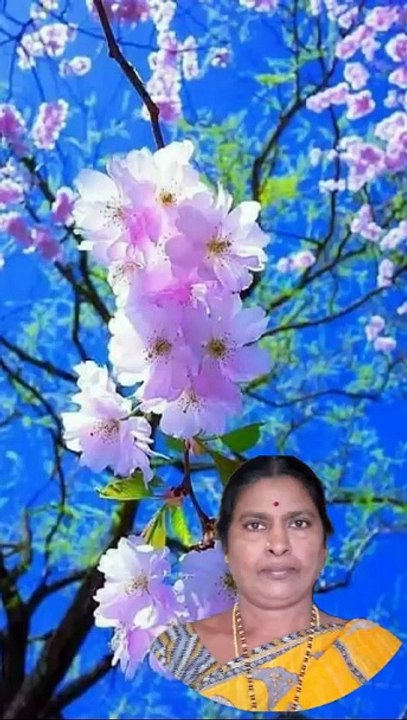 Bhuvana Mohini