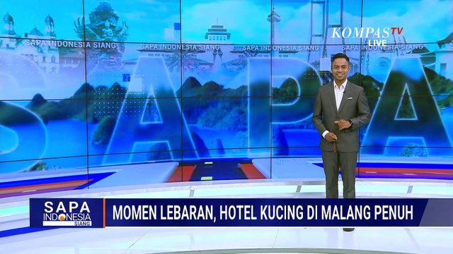 Titip Kucing Kesayangan Selama Mudik, Ini Fasilitas Hotel Kucing di Malang | SAPA SIANG