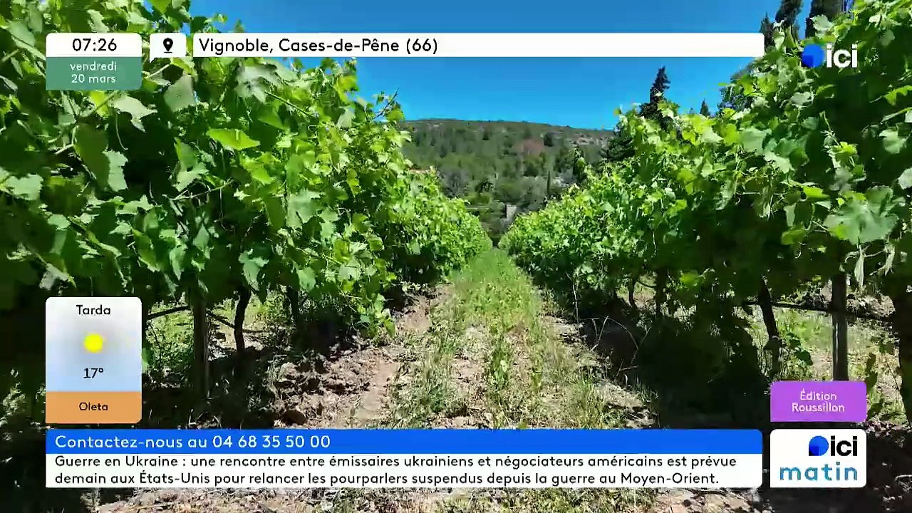 20/03/2026 - ici matin par ici Roussillon en vidéo