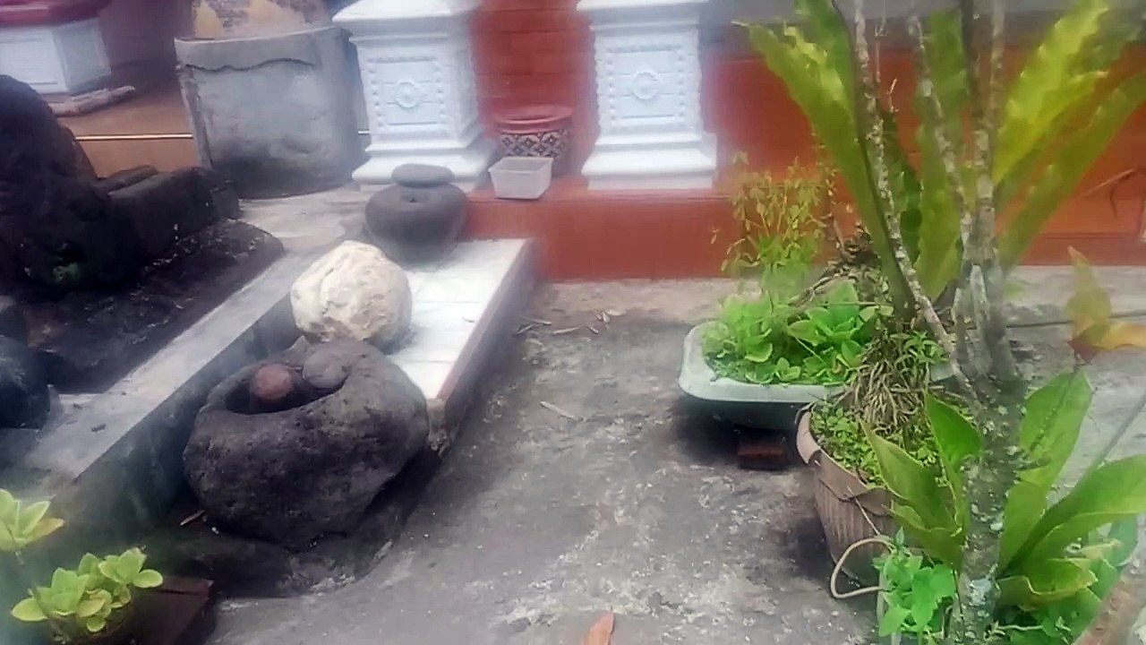 Mbah bergas 1
