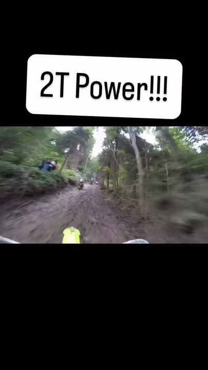 2t