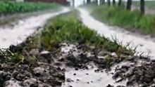 Hujan Turun Di Jalan Setapak Pertanian Yang Berlumpur