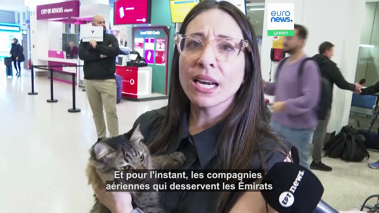 Grèce : chiens et chats rapatriés avec leurs ma...