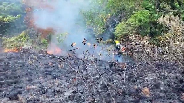 Incendios forestales en Casanare: 15 municipios bajo emergencia por altas temperaturas y vientos
