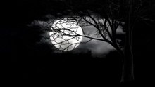 O Dragão da Lua Negra – A Lenda que Decide Destinos e Revela a Verdade da Humanidade