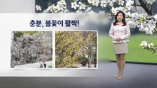 [이슈날씨] 춘분, 봄꽃이 활짝!...서쪽 짙은 안개 / YTN