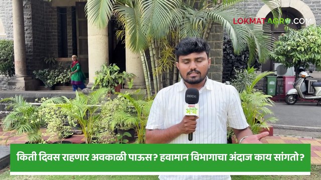 Maharashtra Rain किती दिवस राहणार अवकाळी पाऊस हवामान विभागाचा अंदाज काय सांगतो