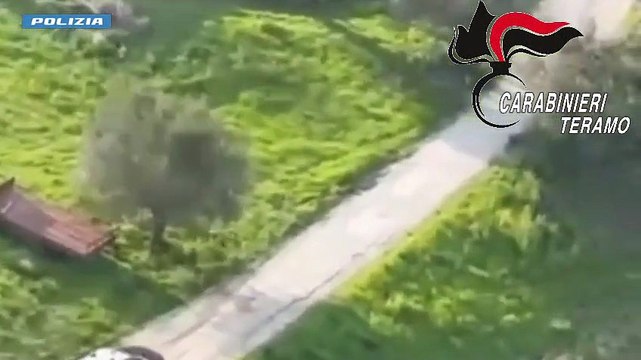 Image from field_mediaid