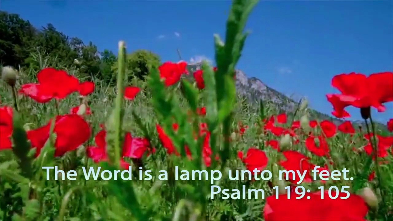 The Fire That Restores True Worship