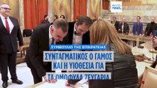 Συνταγματική κατά πλειοψηφία η υιοθεσία παιδιών από ομόφυλα ζευγάρια σύμφωνα με την Ολομέλεια ΣτΕ