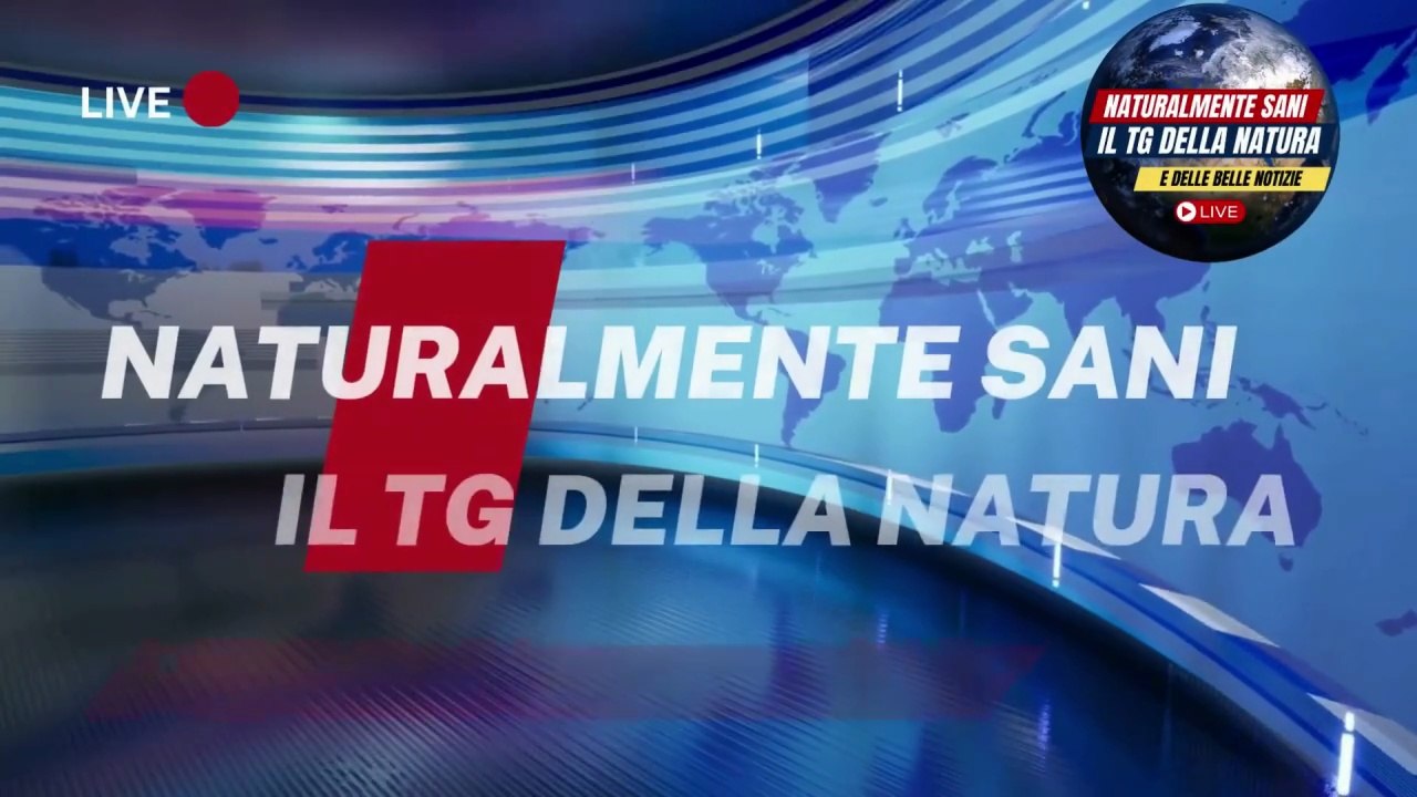 Latte vegetale: cosa c’è davvero nei cartoni del supermercato?