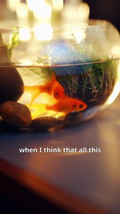 Love was wrong don't look back Full Engsub