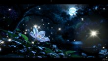 Midnight Garden – Ethereal Melodies for Deep Relaxation & Dreamy Nights