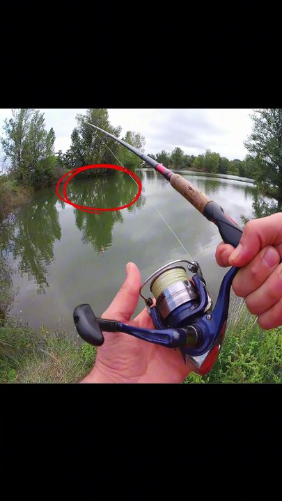 Brochet en vue ??... 🥶#shorts #fishing #leurre #drame #humour #fyp