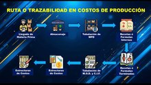 01 Tabulación de Materia Prima Directa