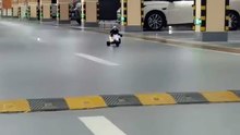 Shaun the Sheep Goes Full Stunt Mode in Empty Parking Lot! 🐑🏍️💨