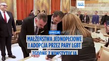 Adopcja dzieci przez pary jednopłciowe zgodna z konstytucją – uznała większością głosów Sesja Plenarna Rady Stanu
