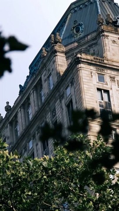 Widow to Queen The Alpha's Resurrection - FULL | Reelshort