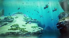 Subnautica 2 Is Turning Into a Legal Mess