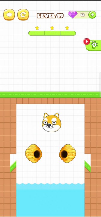 Save The Pets Level 19
