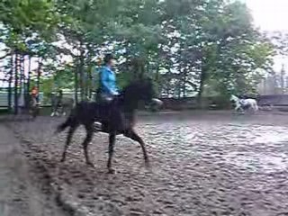Galop en cercle