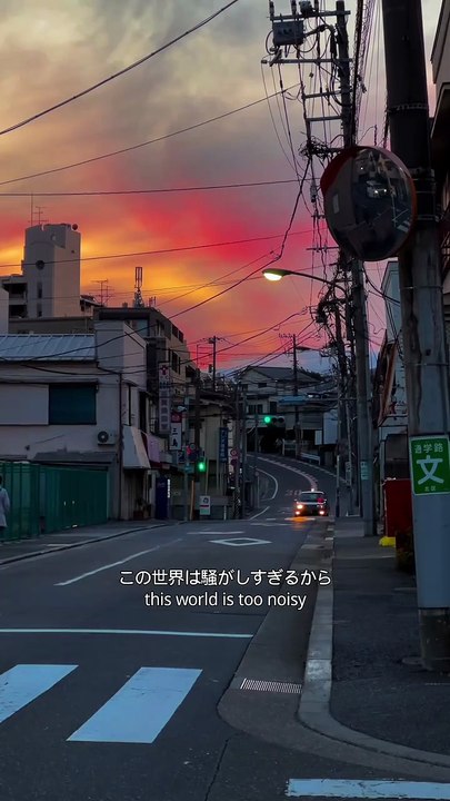東京はとても落ち着く場所だ