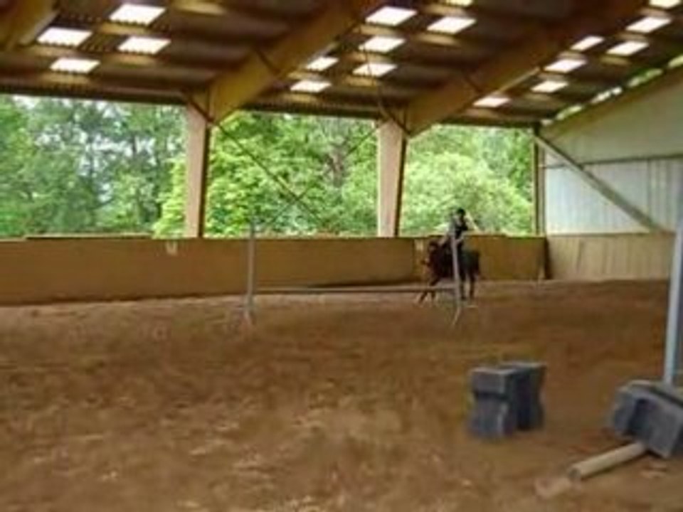 Vendredi avec Caramel
