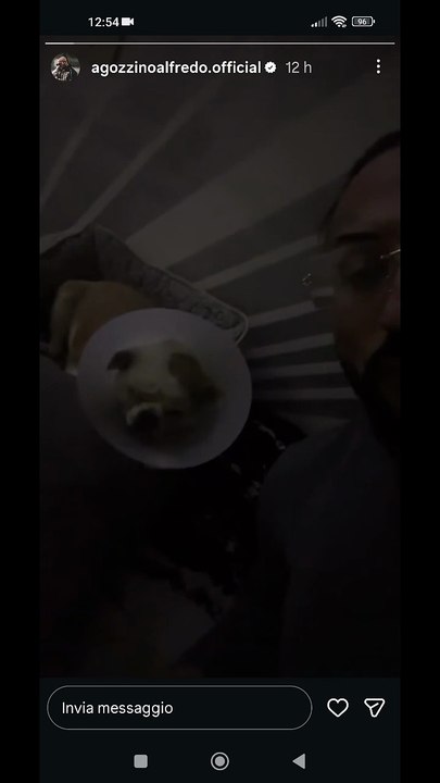 Agozzino Alfredo story assiste il suo cane operato alla cataratta