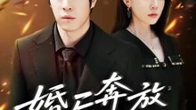 The Forgotten Fire (Chinese Drama)
