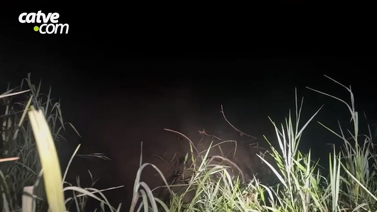 Cerca de 60 mil maços de cigarros contrabandeados são apreendidos em Itaipulândia