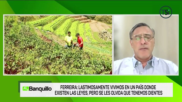 Al Banquillo - Estrategias para lograr productividad en el sector agropecuario - viernes 20 de marzo 2026