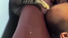 The Craziest & Funniest Cat Moments