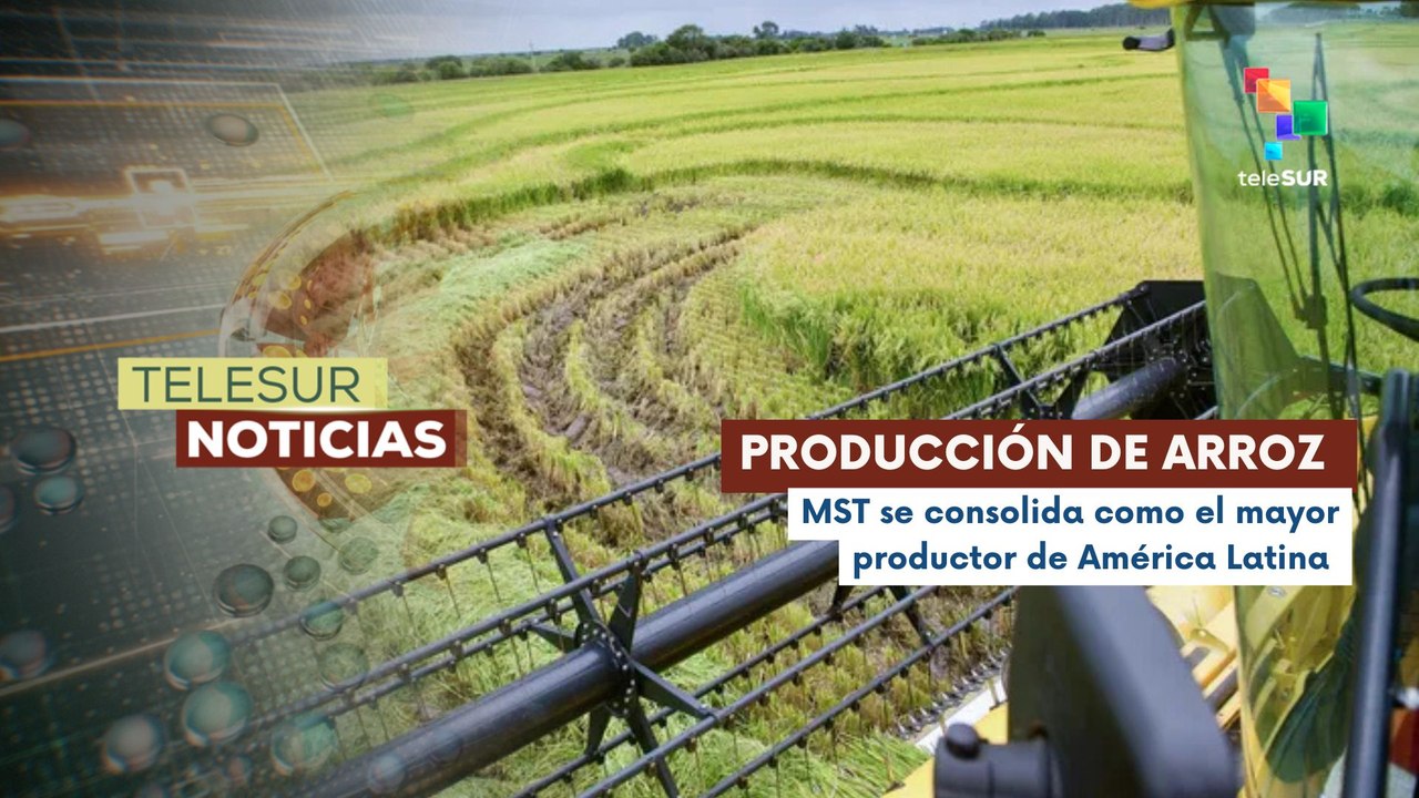 Movimiento de trabajadores rurales lidera producción de arroz en Brasil