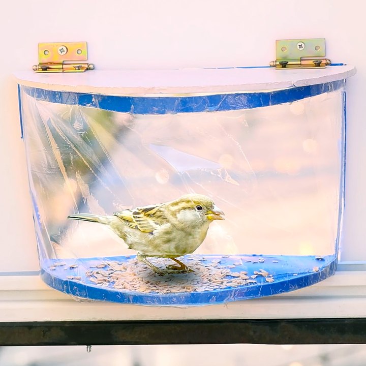 Turn Old Plastic Into a Bird Feeder!