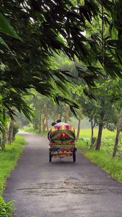 a beautiful rainy day
