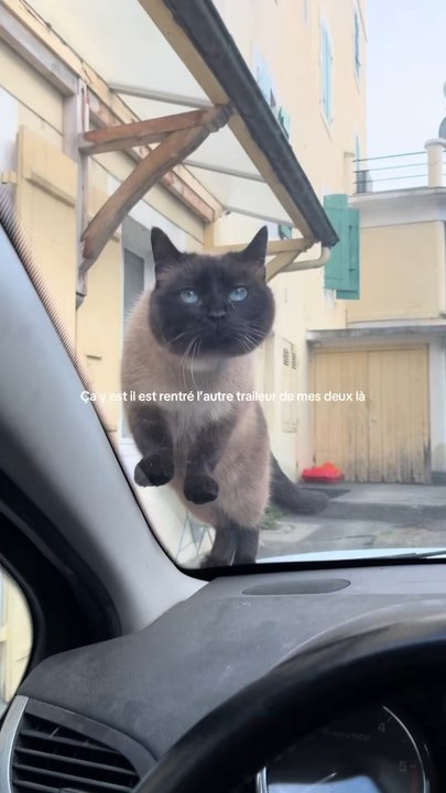 Il faut se faire désiré non c’est pas ça