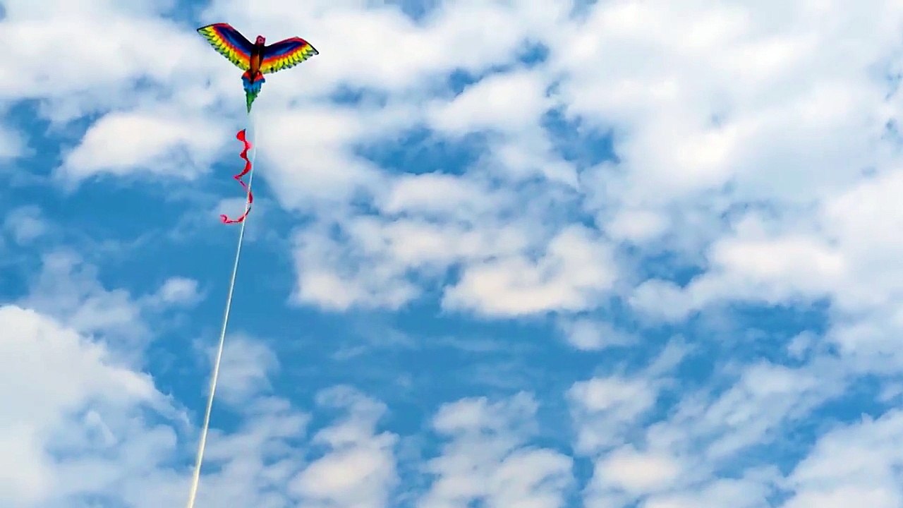 3D Multicolor Kite with Long Tails  | Smooth Flying & Amazing Look!