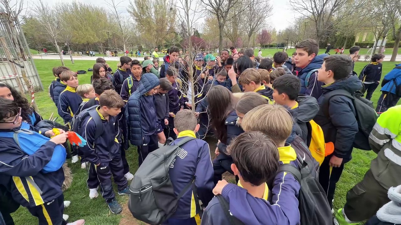 Torrejón alcanza los 4.761 nuevos árboles y acelera hacia los 10.000 con una plantación escolar en el Parque Europa
